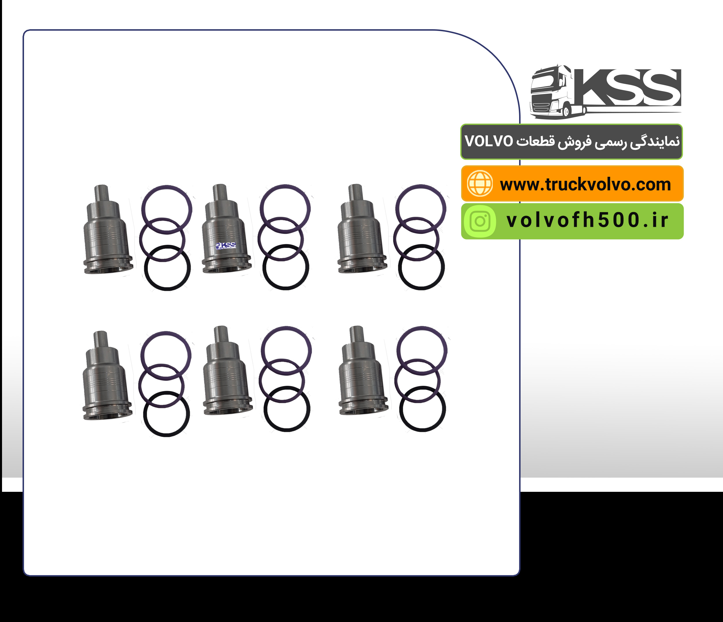 بوش فارسونگا یورو6 شرکتی